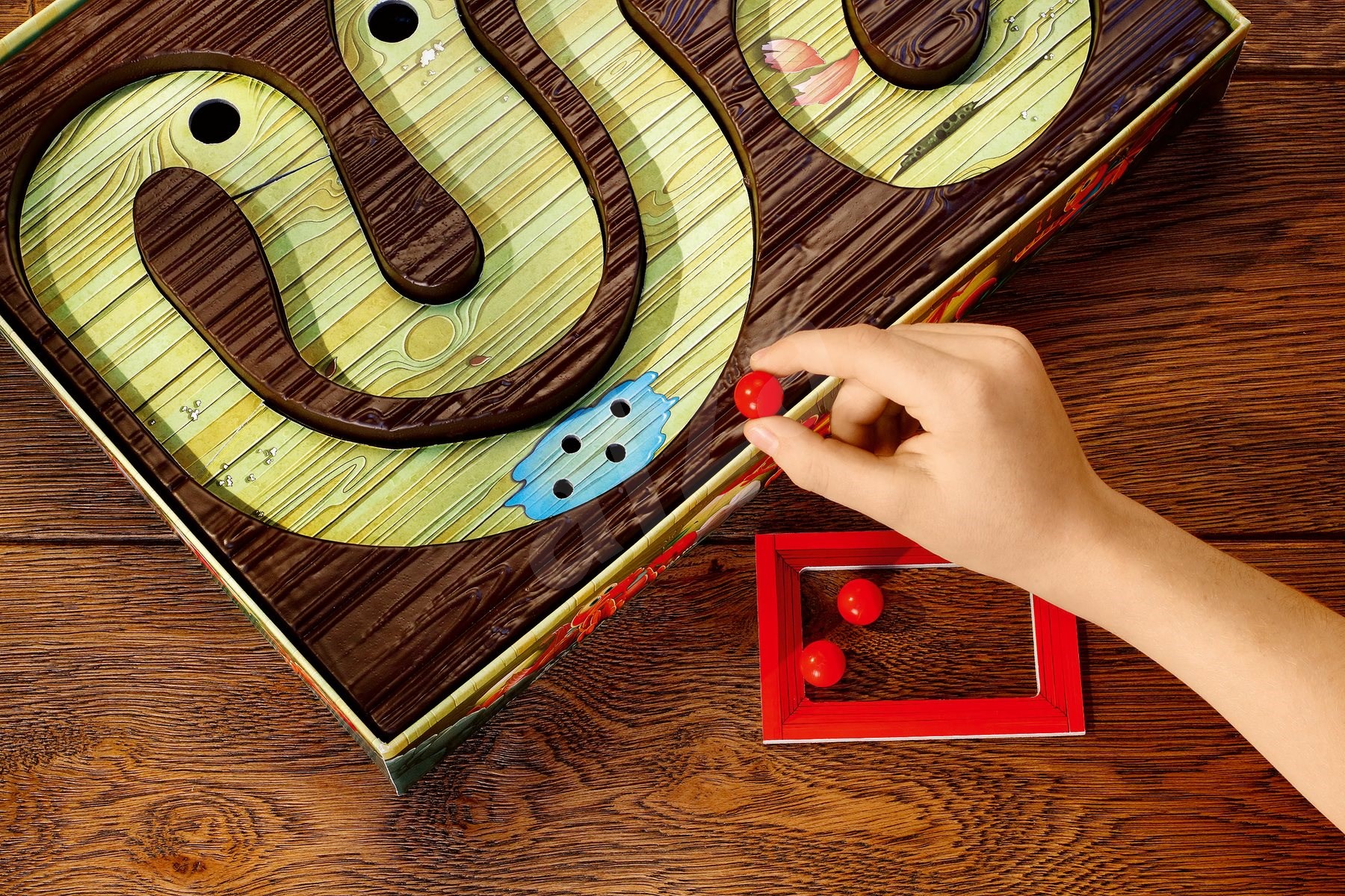 Az első csótánykám - Image 6