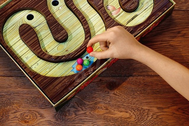 Az első csótánykám - Image 5