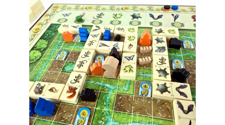 Renature – Újjáéledő természet - Image 3