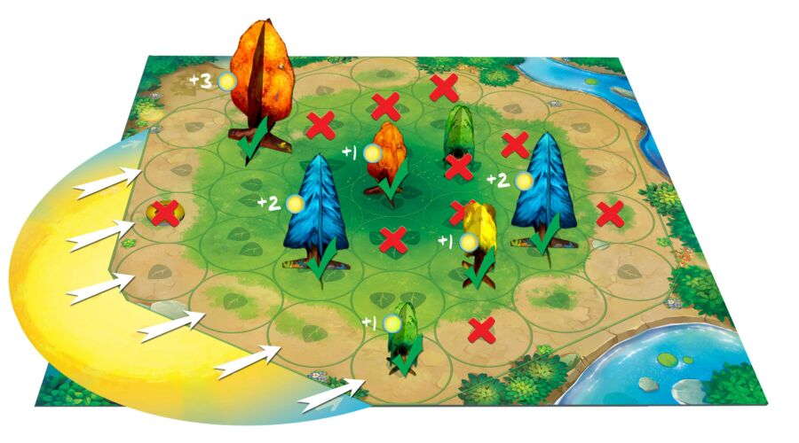 Photosynthesis - Image 3