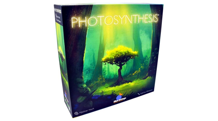 Photosynthesis - Image 2