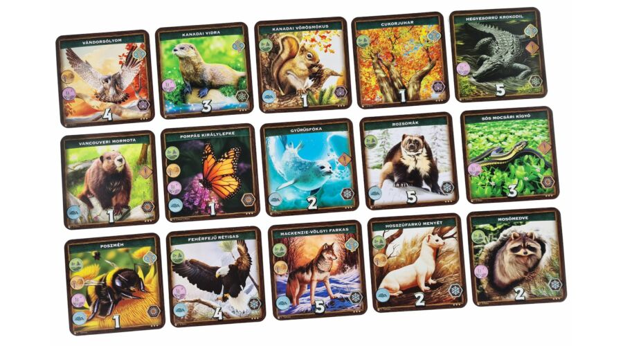 Irány a vadon! - Észak-Amerika - Image 7