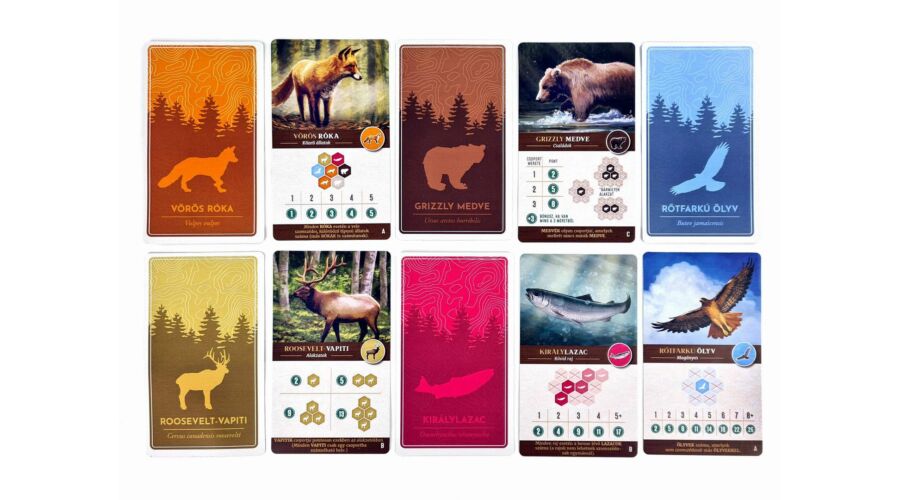 Cascadia vadvilága - Image 5