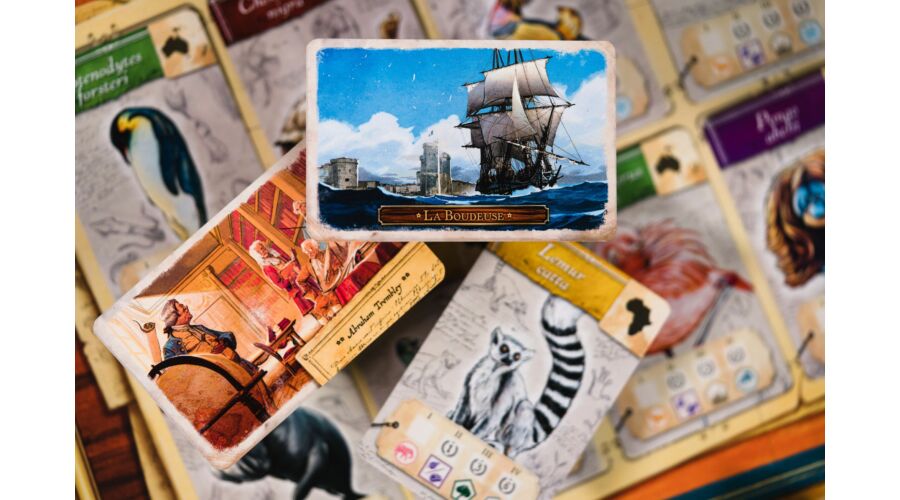 Enciklopédia - Image 8